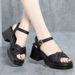 Platform Sandals Fairy Fairy Wind Comfortable Soft Surface Thick Heel Muffin Shoes Roman Shoes Outer Wear Women's Shoes_vogvips.com