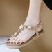 W676-6 New Summer 2025 Comfortable Casual Beach Flat Sandals For Women_vogvips.com