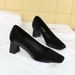 6293 Spring And Autumn New French Elegant Fashion Single Shoe Square Head Silk Coarse Shallow Plain Face Middle Heel_vogvips.com