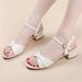 One-word Sandals Female Medium Heel High Heel Fairy Style Comfortable Mother Shoes Thick Heel Fashion Versatile Fashion Sandals_vogvips.com