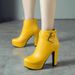 Autumn/Winter New Style Short Boots With High Heels, Waterproof Platform, Leather Buckle, European Style, Simple And Fashionable, Martin Boots_vogvips.com