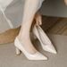 Nude High Heels Women's Thick Heels Soft Leather Temperament Pointed Shoes With Skirts Are Not Tired Feet 5cm Single Shoes_vogvips.com