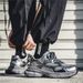 Men's Shoes 2025 Summer Daddy Shoes Fashion Trend All Match Sports Shoes Trendy Brand Casual Youth Men's Shoes_vogvips.com