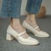 Chunky Mary Jane For Women, Vintage 2025 Autumn New Style, Hepburn Style Mid-High Heel Square Toe Shallow Single Shoes,_vogvips.com