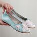 Women’s Shoes Spring Old Pointed Cloth Shoes Women's National Style Embroidered Shoes Ancient Style Cheongsam Women's Shoes Cloth Shoes_vogvips.com