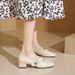 French Style Square Toe Shallow Mouth Single Shoe For Women 2025 New Spring And Autumn Metal Buckle Strap Small Leather_vogvips.com