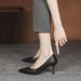 wangjia Wangjia Professional High Heels For Women Thin Heel Soft Sole Interview Flight Attendant Student Etiquette_vogvips.com