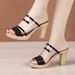 Summer New Thick Type 2 Transparent Anti Slip Korean High Heel Shoes Fashion Women's Slippers_vogvips.com