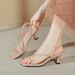 for Women Summer 2025 New Square Toe One Strap High Heels Thin Heel French Fashion Sandals_vogvips.com