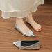 NEW Within The Height Of 5CM Single Shoes Rhinelass Flat Pointed Small Autumn And Winter All Match Soft Sole Women's Shoes Professional Black New_vogvips.com