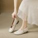 French-style Mary Jane Shoes For Women, 2026 New Model, Shallow Cut With One-strap Buckle, Soft Sole, Comfortable, Small_vogvips.com
