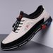 TerraStride Plus Size Korean Style Daily Commuter Leather Fashion Business Casual Shoes Men's Four Seasons Trendy Breathable_vogvips.com