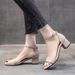 2026 Summer New Cross-Border Plus Size Women's Fashionable Versatile Mid-Heel Strap High-Heel Roman Sandals_vogvips.com