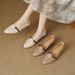 Women's Single 2024 Autumn New Comfortable Versatile Chunky Leather Soft Sole Non-Tiring Slip-On Pointed Toe Low Heel_vogvips.com