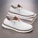 Mesh For Men, Spring 2025 New And Versatile Sports Casual Work Shoes, Men's Trendy Shoes_vogvips.com
