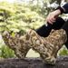 Outdoor Mountaineering Breathable Stream Walking Shoes Casual Men's Shoes Hiking Shoes Large Size Shoes_vogvips.com