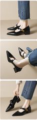 Pointed Single Shoes Women's Thick Heel With Shallow Mouth Mary Jane Shoes French Temperament High Heels_vogvips.com