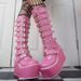 Cross-Border New Long Tube Martin 2022 Autumn Winter Metal Buckle Strap Thick Sole 11CM High Heel Large Size_vogvips.com