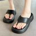 Women Fashions EVA Slippers Female 2024 4CM Wedges Flip Flops Girl Soft Non-slip Outdoor Sandals Adults Solid Color_vogvips.com