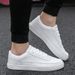 New Spring Little White Korean Edition Versatile Board Youth Leisure Sports Trendy Shoes Men's_vogvips.com