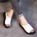Sandals Women, Size 24, New, Large, Thick Soled, Casual Roman Style, Women's Shoes For Outdoor Wear, Side Trade_vogvips.com