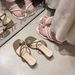 Summer French Rhinestone Flower Clip-toe Chunky Heel Sandals Women's Outdoor Square Toe Transparent High Heel Sandals_vogvips.com