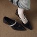 French-style Chunky Heel High Heels Silver Pointed-toe Women's 2026 New Summer Model To Match Skirts, Medium-heel Mary_vogvips.com