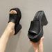 Platform Sole High Heel Open Toe One-Strap Sandals For Women, Outdoor Wedge Large Size Beach Slippers_vogvips.com