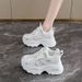 Dad Shoes For Women, Autumn Breathable Mesh Shoes, Women's Korean Version Versatile Thick-Soled Height-Increasing Casual_vogvips.com