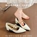 Sheepskin French-style Pointed-toe Chunky Heel Women's Shoes 2025 Spring/autumn With Metal Strap, Shallow Mary Jane_vogvips.com