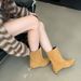 Women's & Men's Light Luxury Pointed Toe Ankle Boots - Soft Suede Upper, Low Heel, Fashionable Slip-On Boots For Fall 2024, Neutral Style_vogvips.com
