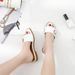 2026 New New Summer Women's Internet Celebrity Sandals Fashion Chic Outdoor Hong Kong Style Flat Slippers_vogvips.com