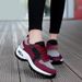 Foreign Trade Spring Summer New Breathable Mesh Air Cushion Sneakers Women's Fashion Height Increasing Casual Mom Shoes_vogvips.com