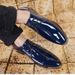 TerraStride Wenzhou Autumn New Leather Large Size 48 Men's Korean Style Trendy Shoes_vogvips.com