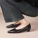 Cameido Women's Pointed Toe Chunky Heel Dress Shoes For Spring_vogvips.com