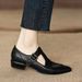 Spring 2025 New Women's French Low Pointed Coarse Heel Brown T-shaped Buckle Mary Jane Single Shoe_vogvips.com