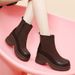 2025 Fall/Winter New Thick-Heeled Mid-Heel Ankle Boots, Warm Fleece-Lined Boots, Height-Increasing Thick-Soled Versatile Women's Shoes_vogvips.com