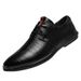Men's Alligator Pattern Lace-up Dress Leather Shoes Men's Casual_vogvips.com
