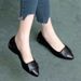 Flat Single For Women 2021 New Spring And Autumn Shallow Mouth Chunky Heel Pointed Toe Soft Sole Versatile Leather Work_vogvips.com