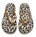 Leopard Print Flip-flops Women, Summer Thick-soled 2026 New Model, Suitable Outdoor Wear, Non-slip, Versatile For_vogvips.com