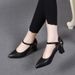 French-style Pointed-toe Leather Paired With Skirts Cheongsams, High-heeled Shoes, 2024 Spring And Autumn New Model,_vogvips.com