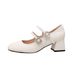 French Mary Jane Shoes Women's One-Word With Thick Heel Single Shoes Fairy Style Silver High Heels_vogvips.com