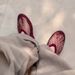 Sheepskin Hollowed-Out Rhinestone Closed-Toe Sandals For Women, 2026 New Summer Fishnet Shoes, Breathable Woven Mary_vogvips.com