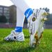 New Outdoor Sports Long Nails Broken Nails Training Large Size Football Shoes_vogvips.com