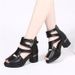 Foreign Trade Plus Size 2024 Summer New Thick Sole Casual Fashion High Chunky Heel Roman Women Peep Toe Sandals_vogvips.com