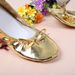 Dance Shoes Golden Practice Shoes Belly Dance Performance Shoes Belly Dance Practice Shoes Training Shoes Belly Dance Shoes_vogvips.com