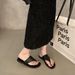 Niche Flat Toe Clip-On Sandal For Women, Outdoor Wear, 2025 New Summer Fahion Roman Sandal, Cool Slipper, Beach_vogvips.com