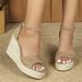 Women's Summer Cross-Strap Peep-Toe Platform Wedge Sandals Fashionable Hollow High Heels Waterproof_vogvips.com