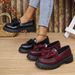 Women's Plus Size Bow Tie Leather Shoes Chunky Heel Retro Low Top Single Footwear For Autumn New Style_vogvips.com