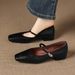 Cameido French Vintage Square Toe Versatile Shallow Square Heel Shoes For Women, 2025 Autumn Mary Jane Style With Ankle Strap_vogvips.com